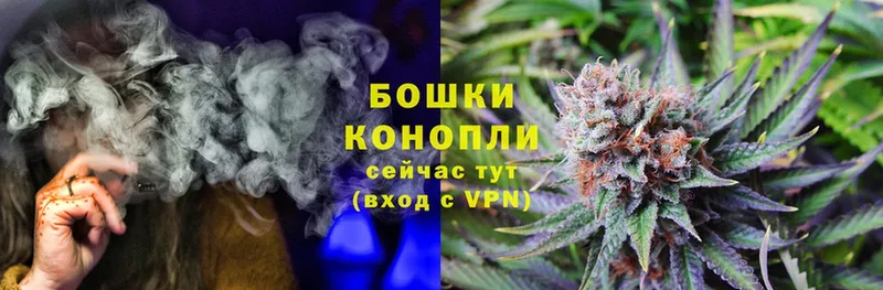 МАРИХУАНА THC 21%  мориарти официальный сайт  Кедровый 